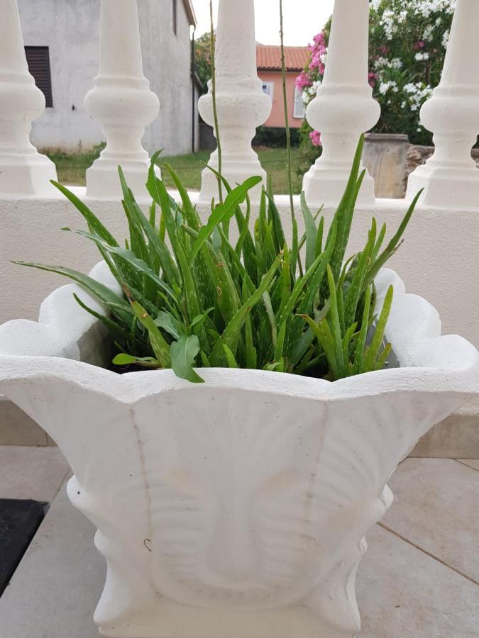 Apartment Excelente Вир Екстер'єр фото